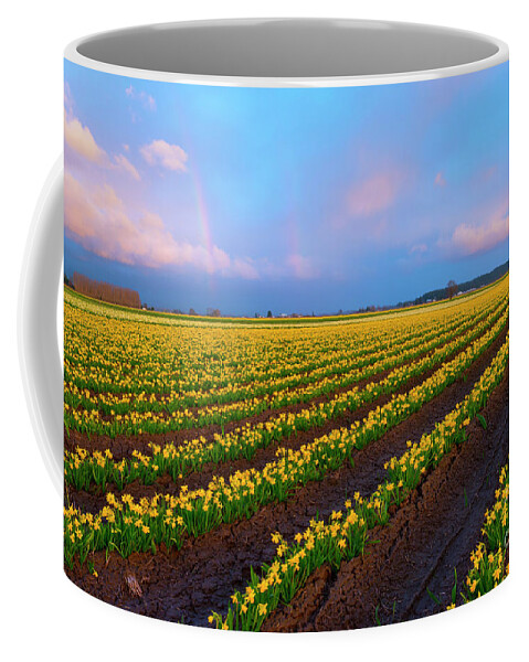 Daffodils Coffee Mug featuring the photograph Rainbows, Daffodils and Sunset by Michael Dawson