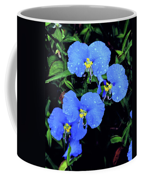 Nature Coffee Mug featuring the photograph Raindrops in Blue by Peggy Urban