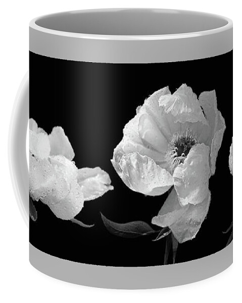 White Flower Coffee Mug featuring the photograph Raindrops on Peonies Black and White Panoramic by Gill Billington
