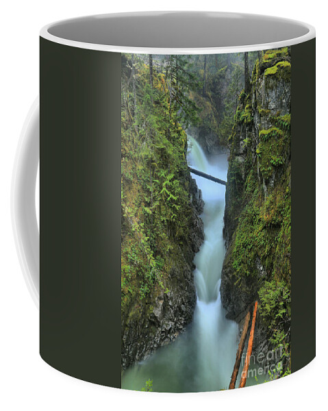 Qualicum Coffee Mug featuring the photograph Rainforest River Paradise by Adam Jewell