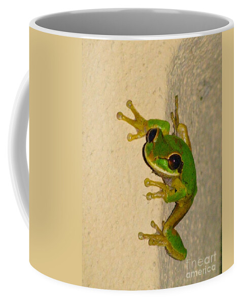 Costa Rica Frog Coffee Mug featuring the photograph Rainforest Tree Frog by Alanna DPhoto