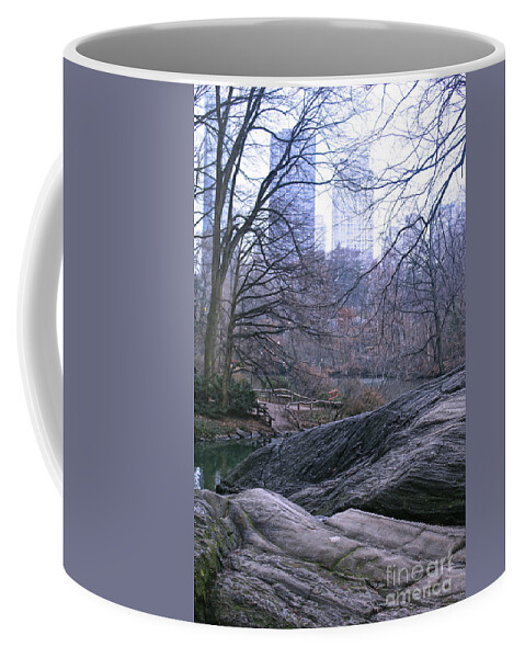 Park Coffee Mug featuring the photograph Rainy Day in Central Park by Sandy Moulder