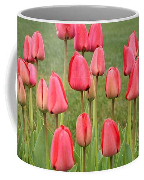 Red Tulips Coffee Mug featuring the photograph Rainy Red Tulips by Carol Groenen