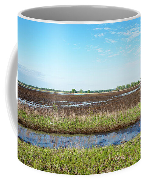 Fields Coffee Mug featuring the photograph Rainy Spring by Ed Peterson