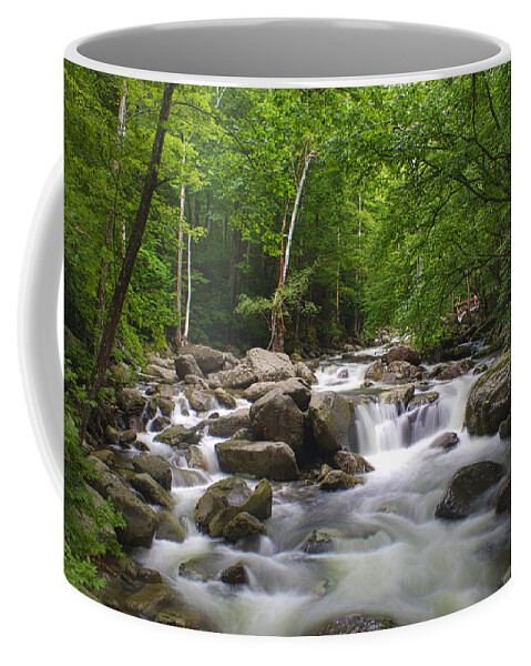 Nunweiler Coffee Mug featuring the photograph Ramsey Cascade Trailhead by Nunweiler Photography