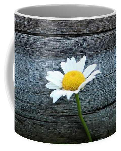 Daisy Coffee Mug featuring the photograph Ranch Daisy by FD Graham