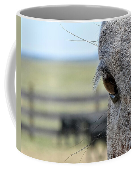 Ranch Horse Landscape Cattle Western Coffee Mug featuring the photograph Ranch Life by Fiskr Larsen