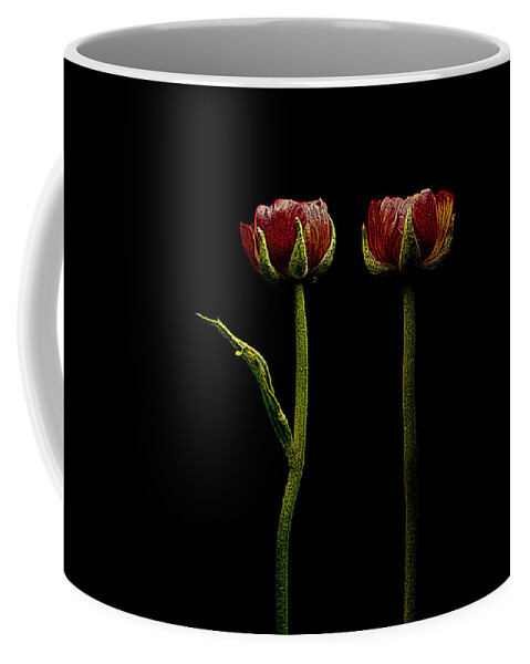 Ranunculus Coffee Mug featuring the photograph Ranunculus In Red by Movie Poster Prints