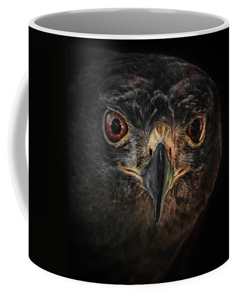 Bird Coffee Mug featuring the photograph Rapt Raptor by Jim Painter