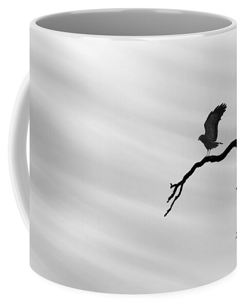 Raptor Coffee Mug featuring the photograph Raptor Silhouette by Joe Bonita