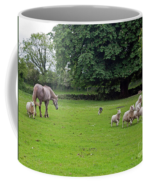 Rathbaun Farm Coffee Mug featuring the photograph Rounding up the sheep by Cindy Murphy