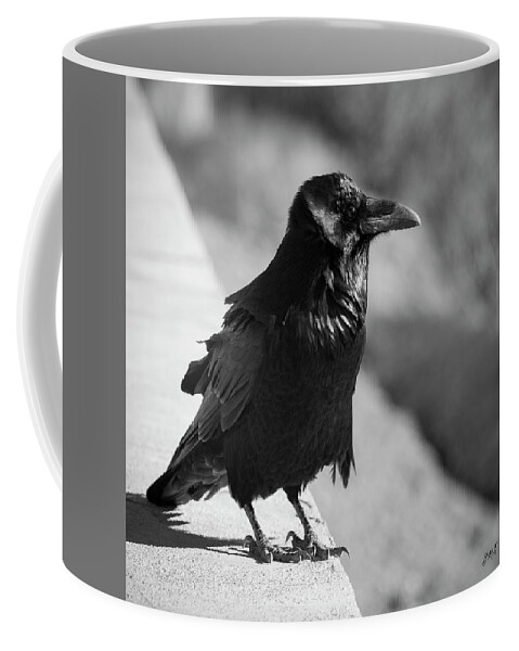 Raven Coffee Mug featuring the photograph Raven IV BW by David Gordon