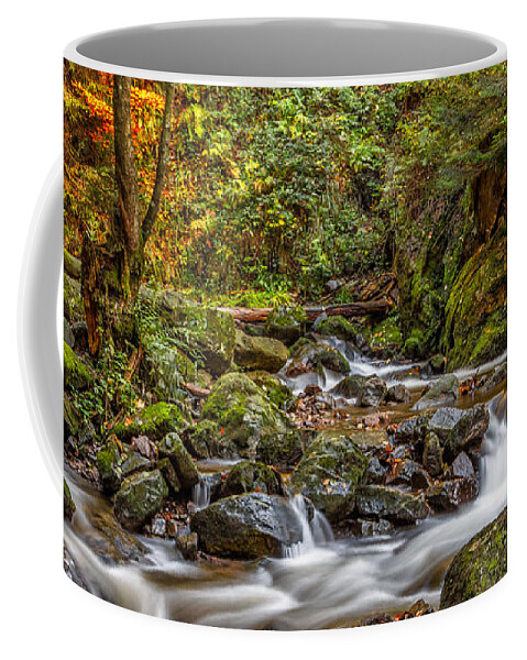Ravenna-gorge Coffee Mug featuring the photograph Cascades and Waterfalls #2 by Bernd Laeschke