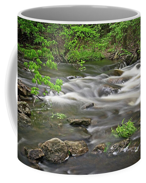 Waterfall Coffee Mug featuring the photograph Raymond Brook Rapids by Allan Van Gasbeck