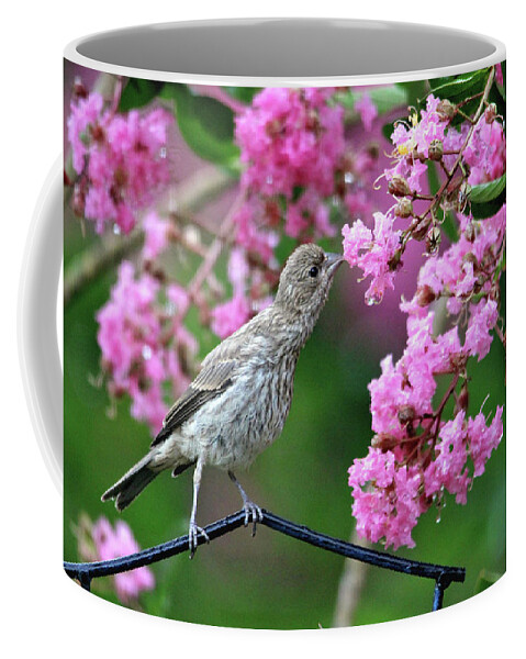 Birds Coffee Mug featuring the photograph Reach For It by Trina Ansel