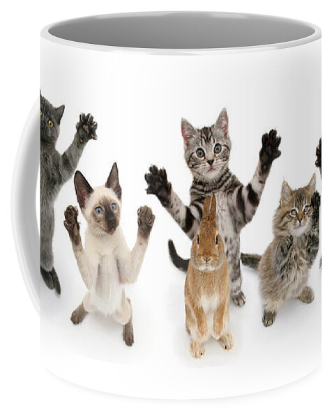 Cats Coffee Mug featuring the photograph Reach for the Sky by Warren Photographic
