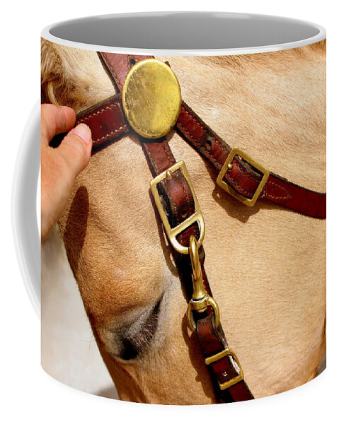 Caring Heart Coffee Mug featuring the photograph Reach Out And Touch Someone You Love by Fiona Kennard