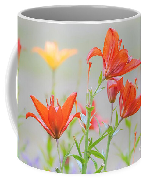 Flowers Coffee Mug featuring the photograph Reaching Higher by Merle Grenz
