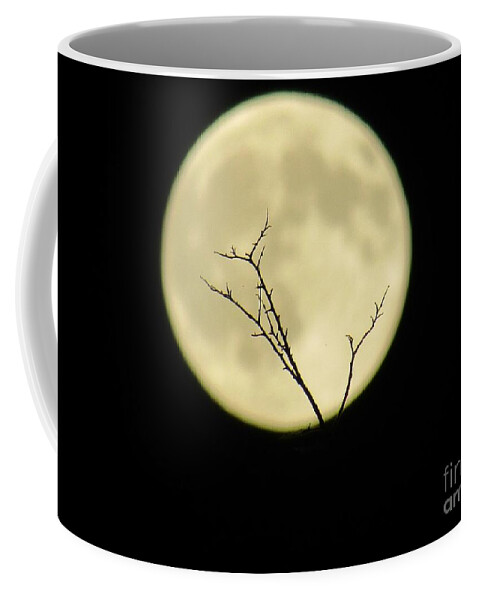  Coffee Mug featuring the photograph Reaching Out Into the Night by Kelly Awad