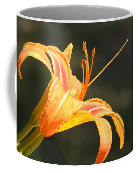 Nature Coffee Mug featuring the photograph Reaching Out by Sheila Brown
