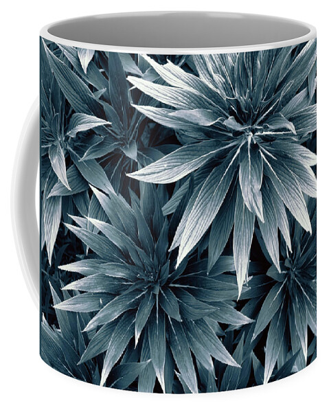 Leaves Coffee Mug featuring the photograph Reaching Out by Wayne Sherriff