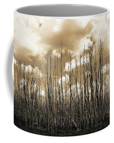 Everglades Coffee Mug featuring the photograph Reaching To the Sky by Gary Dean Mercer Clark