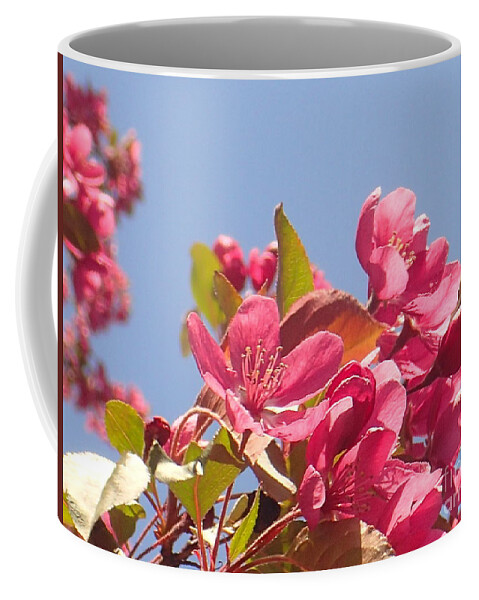 Flowers Coffee Mug featuring the photograph Reaching Up by Christina Verdgeline