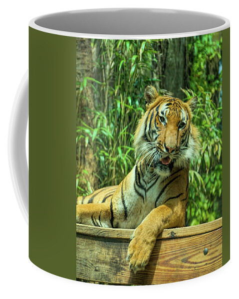 Tiger Coffee Mug featuring the photograph Reclining Tiger by Artful Imagery