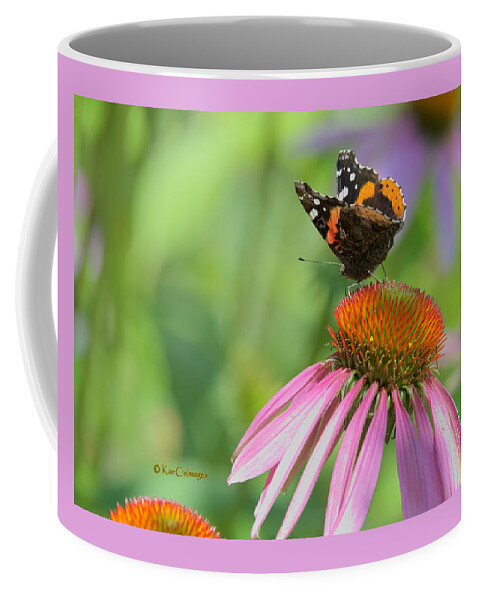 Butterfly Coffee Mug featuring the photograph Red Admiral on Cone Flower by Kae Cheatham