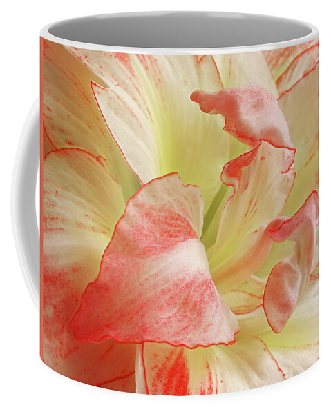 Amaryllis Coffee Mug featuring the photograph Red and White Amaryllis Abstract Horizontal by Gill Billington