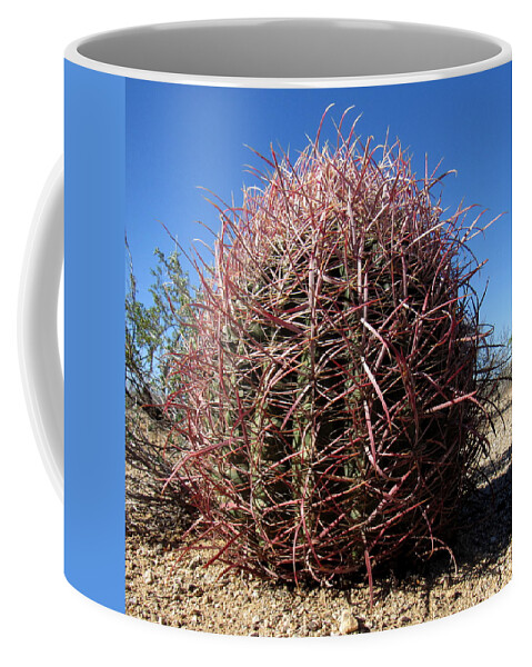 Red Barrel Cactus Mojave Cactus Species Mojave Flora Desert Flora Desert Cactus Rare Flora California Cactus Species Pixels.com Nature Conservancy Coffee Mug featuring the photograph Red Barrel Cactus by Joshua Bales