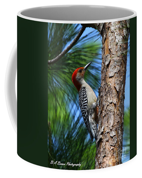 Red-bellied Woodpecker Coffee Mug featuring the photograph Red-bellied Woodpecker by Barbara Bowen
