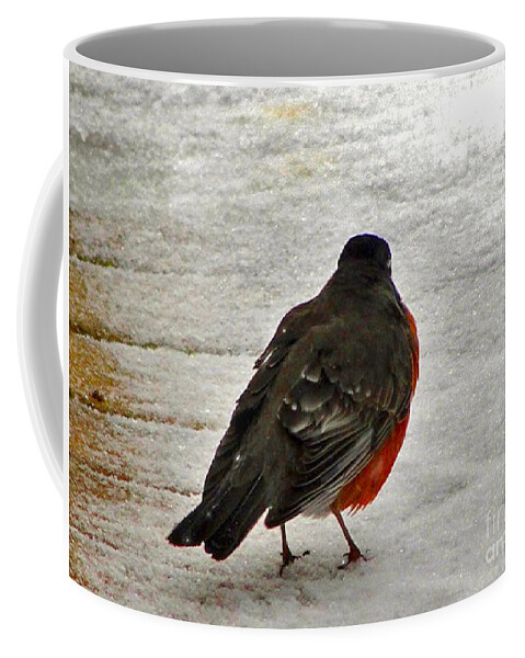 Robin Coffee Mug featuring the photograph Red Breasted Robin by Mafalda Cento