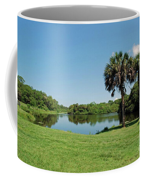 Palm Coffee Mug featuring the photograph Red Bug Slough by Gary Wonning
