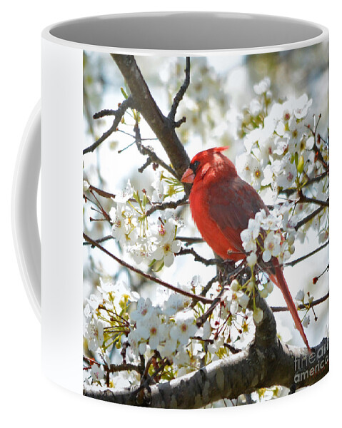 Nature Coffee Mug featuring the photograph Red Cardinal In Spring Flowers by Nava Thompson