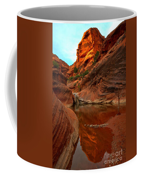 Red Cliffs Coffee Mug featuring the photograph Red Cliffs Reflections by Adam Jewell