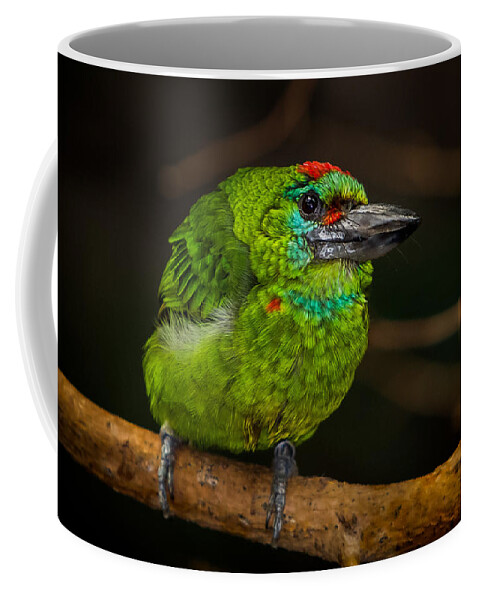 Animals Coffee Mug featuring the photograph Red-crowned Barbet by Rikk Flohr