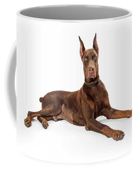 Animal Coffee Mug featuring the photograph Red Doberman Pinscher Dog Lying Profile by Good Focused