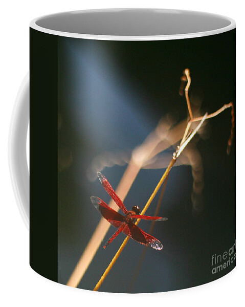 Dragonfly Coffee Mug featuring the photograph Red Dragonfly by Mike Reid