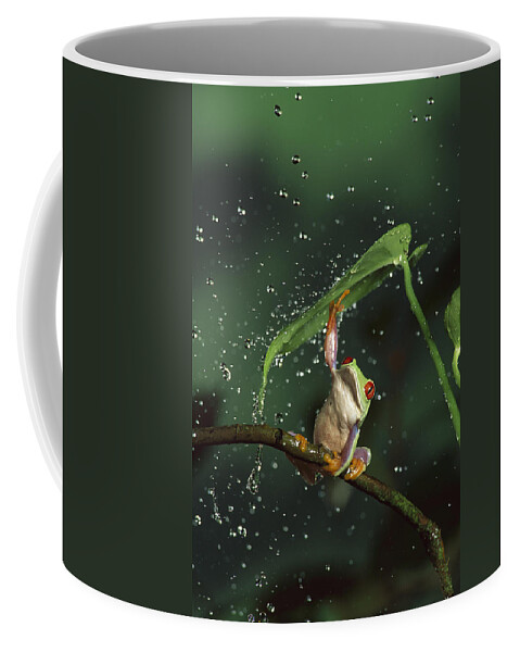 Mp Coffee Mug featuring the photograph Red-eyed Tree Frog In The Rain by Michael Durham