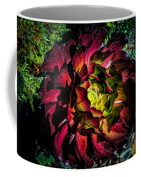 Red Flower Coffee Mug featuring the photograph Red flower by Lilia S