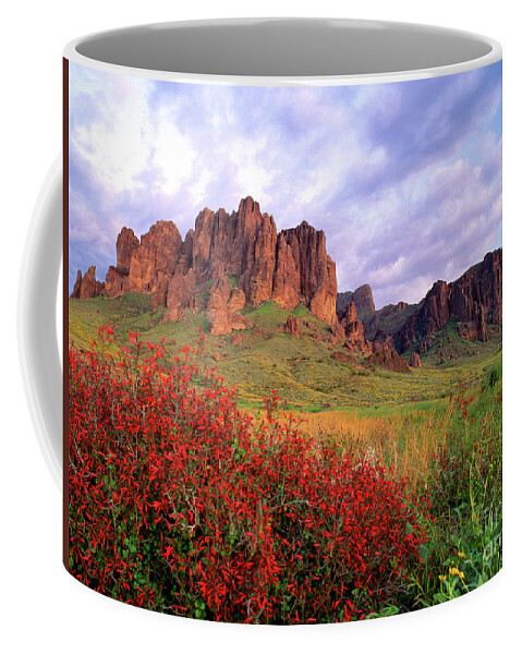 Superstition Mts Coffee Mug featuring the photograph Red Flowers Superstition Mts Lost Dutchman State Park AZ by Joanne West