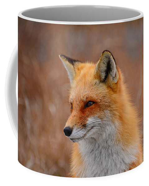 Red Fox Coffee Mug featuring the photograph Red Fox 4 by Raymond Salani III