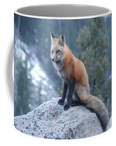 Fox Coffee Mug featuring the photograph Red Fox by Ben Foster