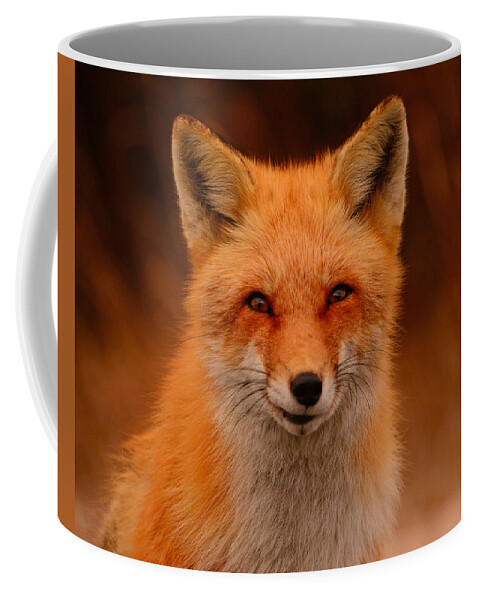 Red Fox Coffee Mug featuring the photograph Red Fox by Raymond Salani III