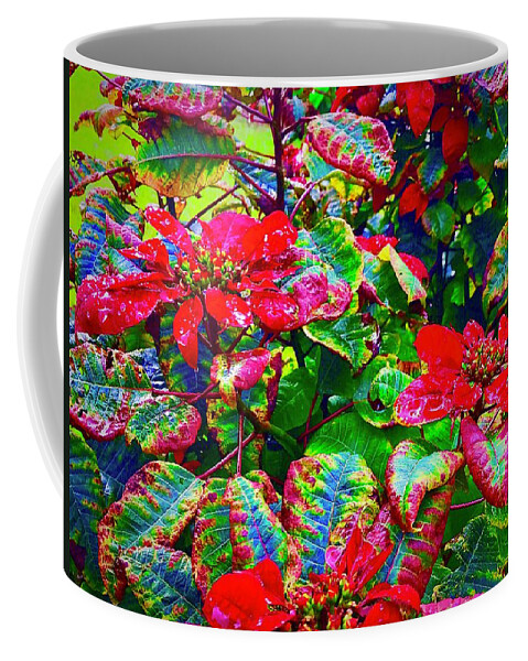 #flowersofaloha #flowerpower #poinsettias Coffee Mug featuring the photograph Red Hawaiian Poinsettias in Puna by Joalene Young
