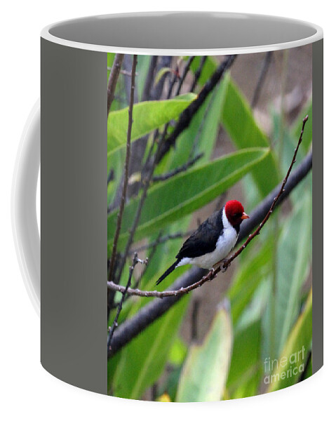 Red Head Coffee Mug featuring the photograph Red Head by Jennifer Robin