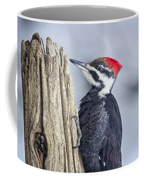 Woodpecker Coffee Mug featuring the photograph Red Head by Peg Runyan