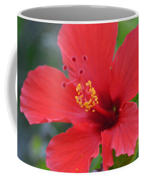 Flower Coffee Mug featuring the photograph Red Hibiscus 2 by Amy Fose