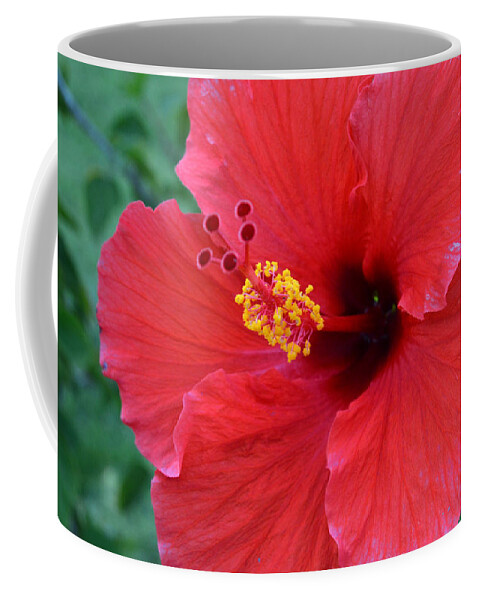 Flower Coffee Mug featuring the photograph Red Hibiscus 1 by Amy Fose